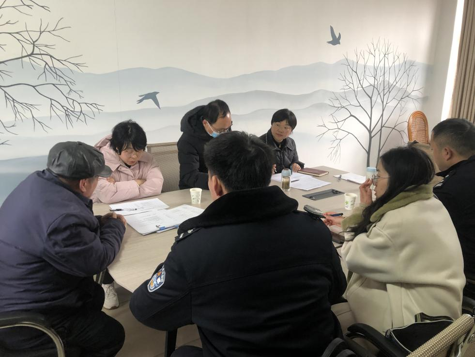 【工作动态】桐城市精神卫生中心完成2024年下半年严重精神障...